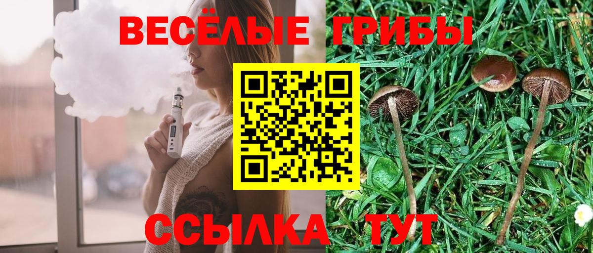 продажа наркотиков  Галлюциногенные грибы мухоморы  Вход с VPN  Волгоград 